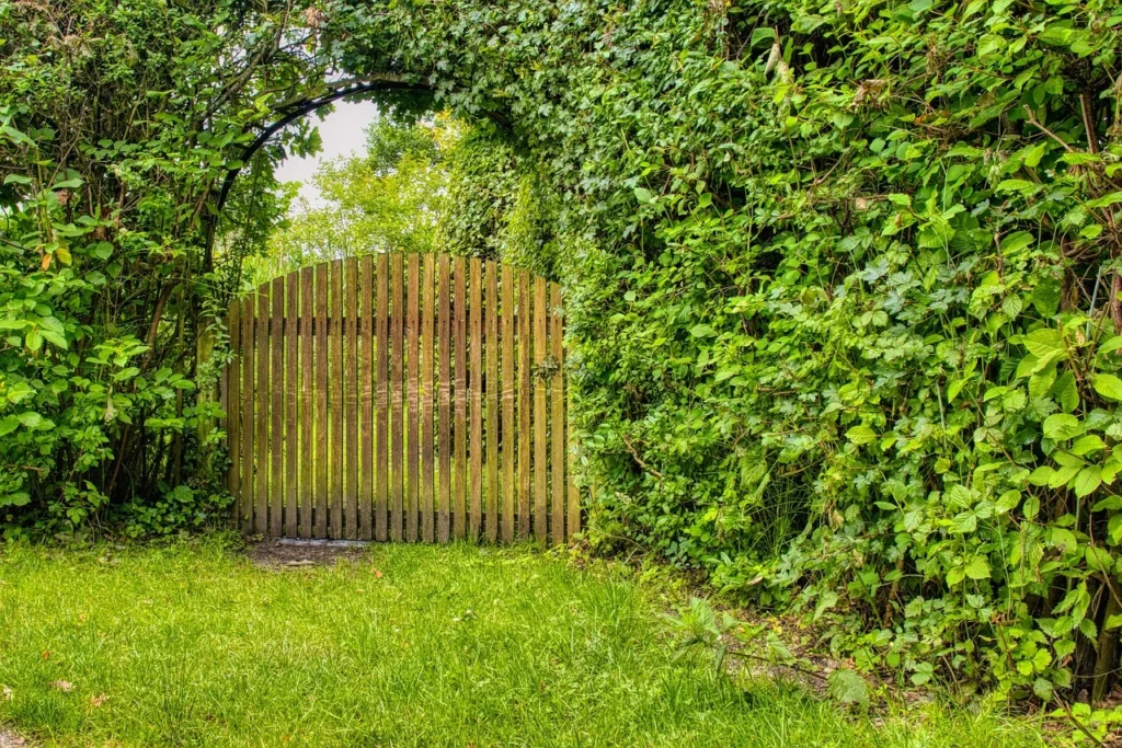 portails-de-jardin-en-été-avec-fleurs